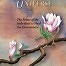 Compassionate Universe by Eknath Easwaran
