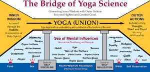 Yoga Science 1