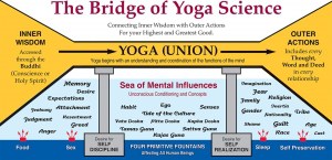 Yoga Science