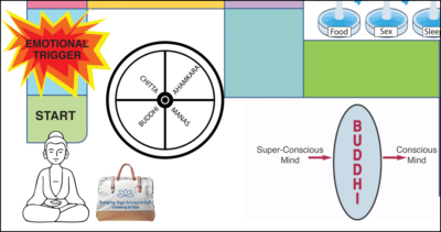 Yoga Science Lab Game Board