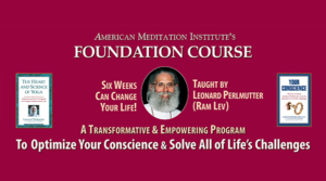 American Meditation Institute Foundation Course