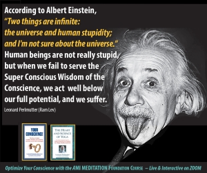 Einstein Stupidity Your Conscience