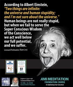 Einstein Stupidity Your Conscience Digital