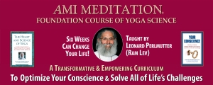 AMI Meditation Foundation Course Banner