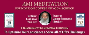 AMI Meditation Foundation Course Banner mobile