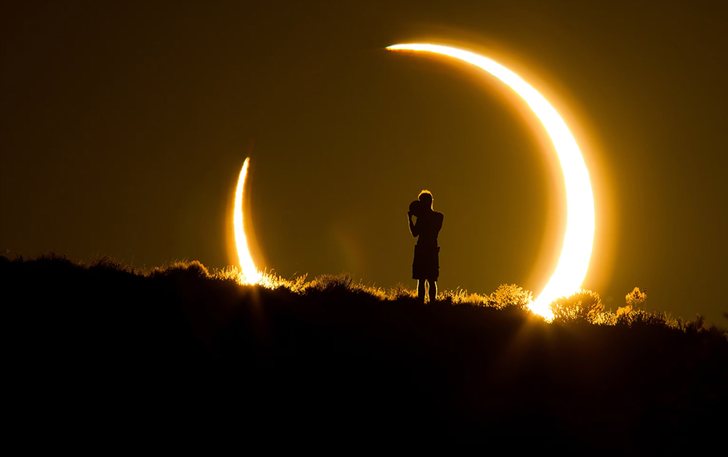 Person in field watching eclipse